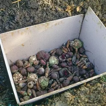 Бока кучи земли обшиты деревянными досками