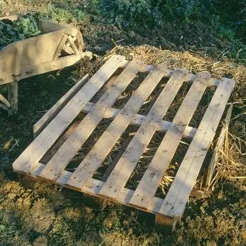 Накройте груду почвы деревянным поддоном