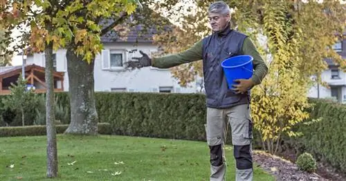 Шаг за шагом: Как подготовить газон к зиме