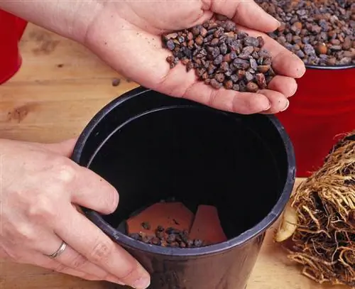 Насыпьте керамзит в новый горшок