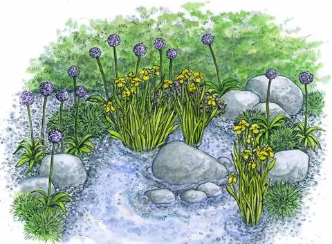 Идея для сада: водопой с болотными ирисами