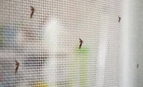 Москитная сетка на окно
