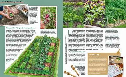 Выдержка: При хорошем планировании к успеху выращивания Выдержка: При хорошем планировании к успеху выращивания