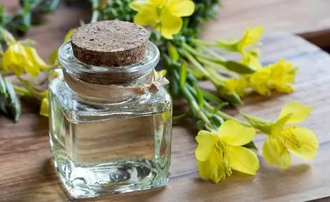 масло примулы вечерней масло примулы вечерней