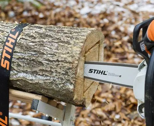 Увидел квадрат из ствола дерева