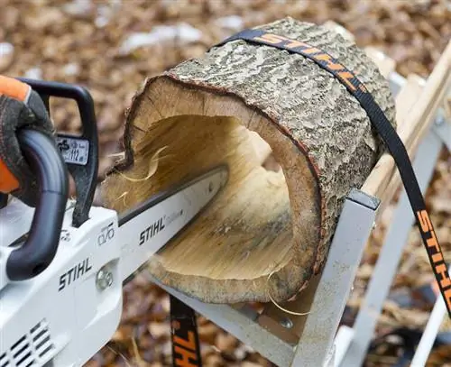 Сгладьте внутренние стенки ствола дерева с помощью бензопилы.