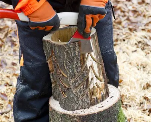 Используйте топор, чтобы отделить кору от ствола дерева.