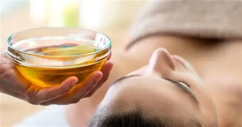 Полезные растительные масла: они особенно ценны