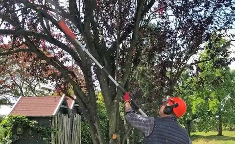 Аккумуляторный секатор Husqvarna 115iPT4 протестирован