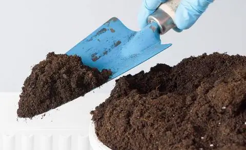 Горшечная почва для конопли