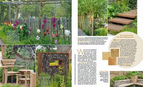 Выдержка: Нет пути вокруг дерева