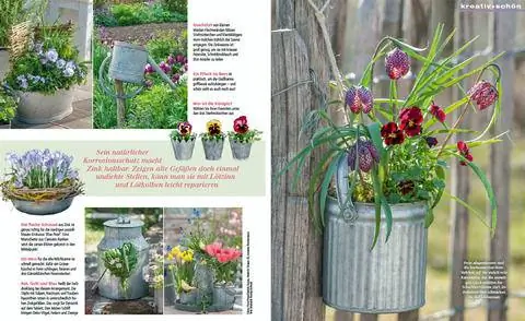 Образец чтения: Весеннее украшение - цветы и цинк