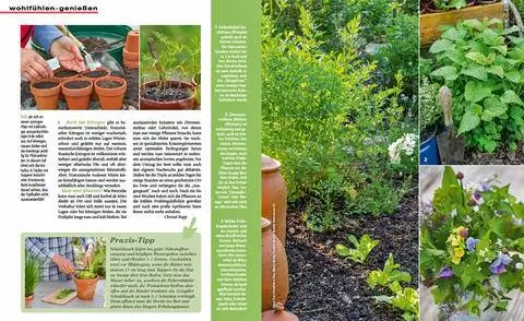 Образец чтения: Предвкушение свежих кухонных трав