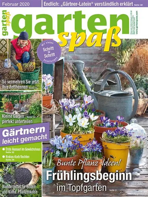 Садовые развлечения, выпуск за февраль 2020 г.