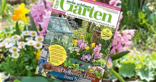 Спешите в киоск: наш февральский номер уже здесь