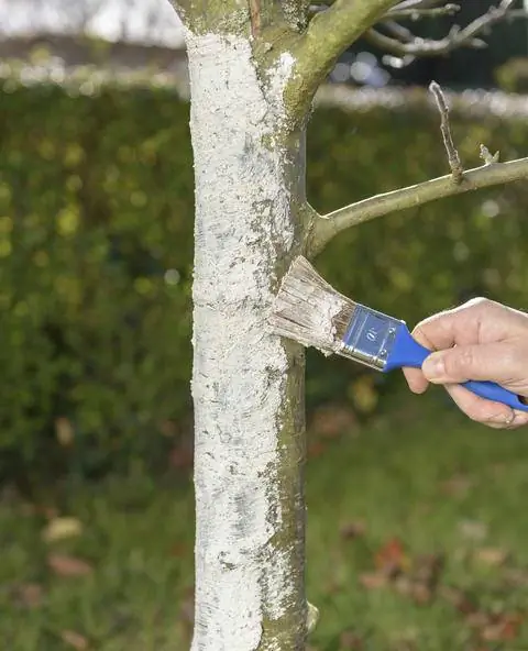 Белое покрытие против оленей