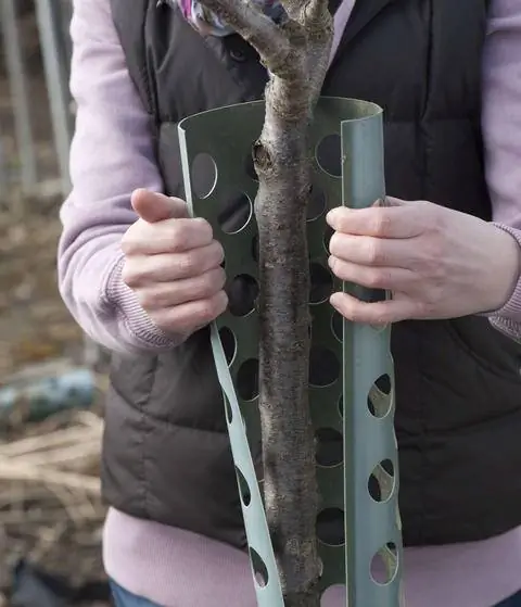 Пластиковая манжета против просмотра игр