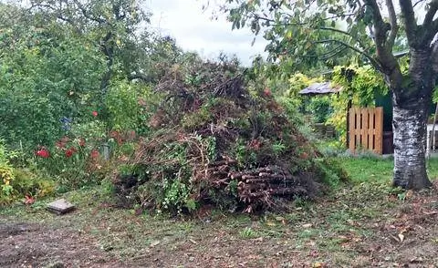 Убрать живую изгородь, кучу хвороста