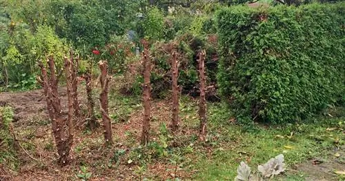 Как убрать хеджирование