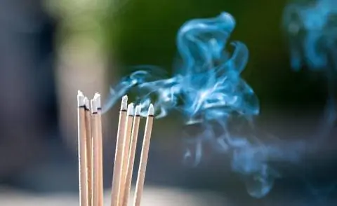 Съедобных сонь можно отогнать ароматическими палочками