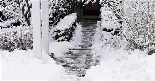 10 советов для большей безопасности в саду