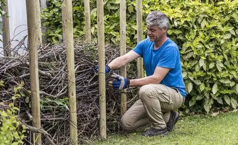 Построить живую изгородь