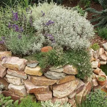 травяная спираль