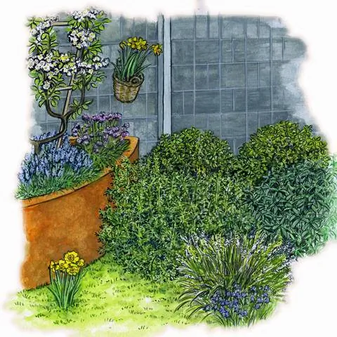 Приподнятая грядка со шпалерным яблоком, виноградным гиацинтом и зеленым луком