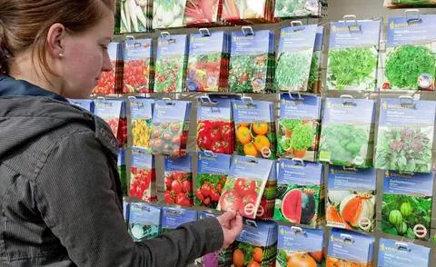 купить семена