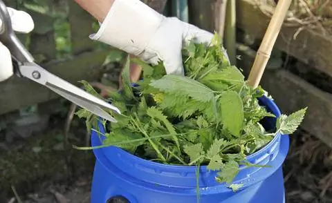 Нарежьте побеги крапивы на мелкие кусочки для варки.