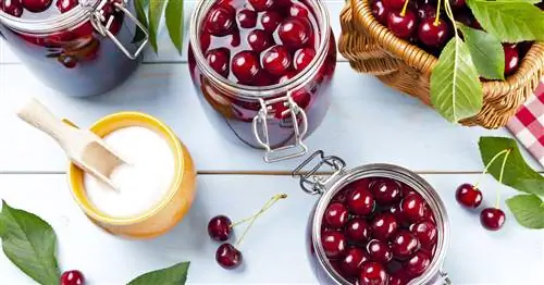 Варка и консервирование вишни: лучшие советы