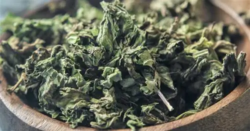 Сухая мята: Свежий вкус в банке для хранения