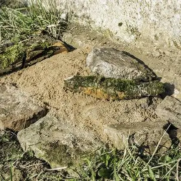 Песчаная подушка: вспомогательное средство для гнездования песчаных пчел