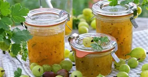 Варить крыжовник: советы и рецепты