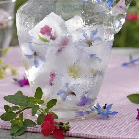 Замороженные цветы шалфея смородины