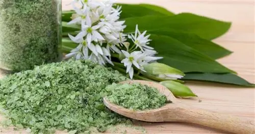 Приготовьте соль из черемши сами: Родник в банке