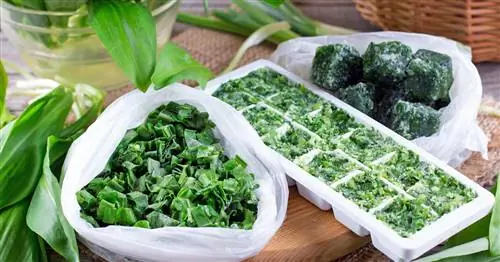 Заморозка черемши: Как сохранить аромат