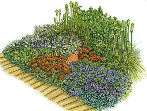 Многолетняя грядка на деревянной палубе