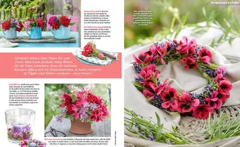 Образец креативных идей с цветками герани