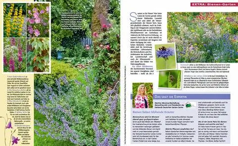 Отрывок из пчелиного сада