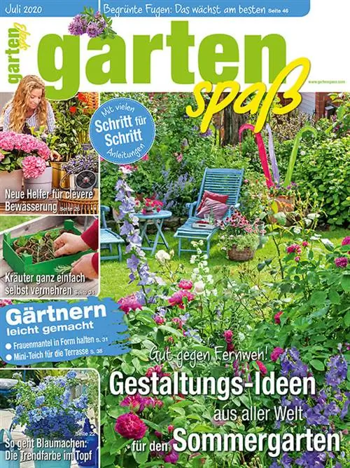 Садовые развлечения, выпуск за июль 2020 г.