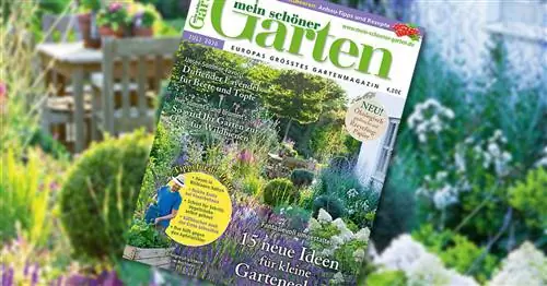 Спешите в киоск: наш июльский номер уже здесь