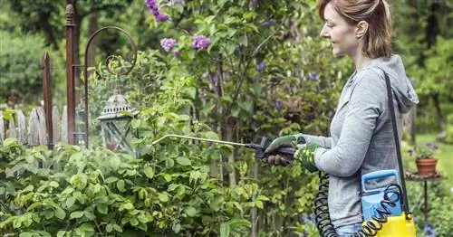 Пестициды: 9 наиболее важных биологически активных ингредиентов