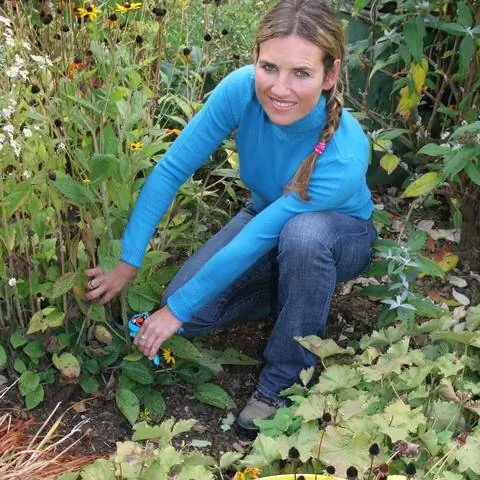 Срезайте эхинацею (рудбекию) близко к земле