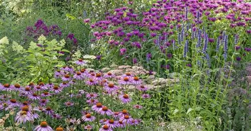 Создание пасеки: идеи и советы