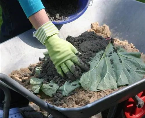 Сделать ванночку для птиц из бетона