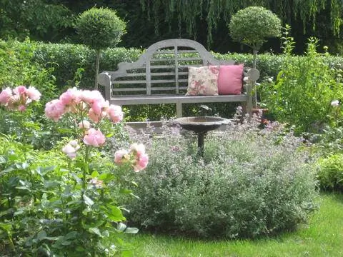 Ванна для птиц в окружении кошачьей мяты