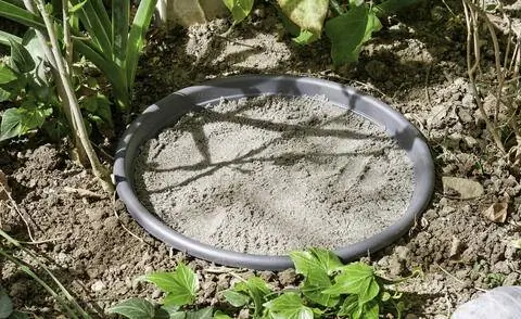 Чаша с мелким песком как купальня для птиц