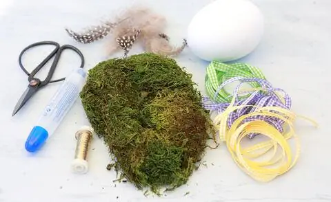 Материал для яиц мха