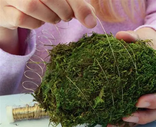 Оберните моховое яйцо проволокой.